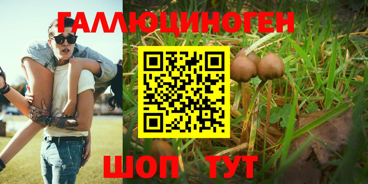 Псилоцибиновые грибы ЛСД Уссурийск