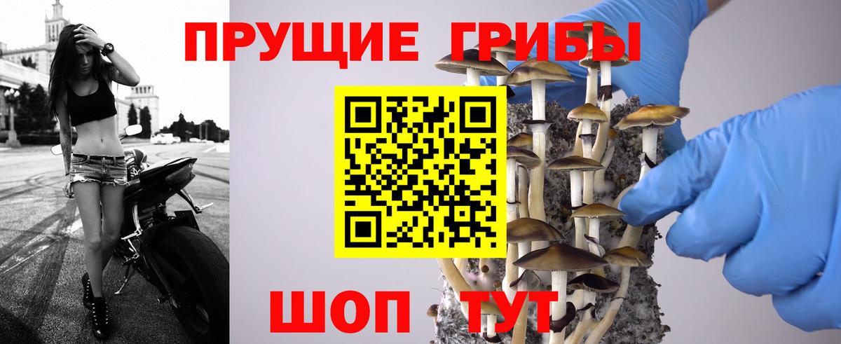 Псилоцибиновые грибы Magic Shrooms  Псилоцибиновые грибы ЛСД  как найти закладки  Вход с VPN  Уссурийск 